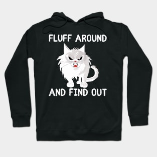 Fluff Around and Find Out - funny cat Hoodie